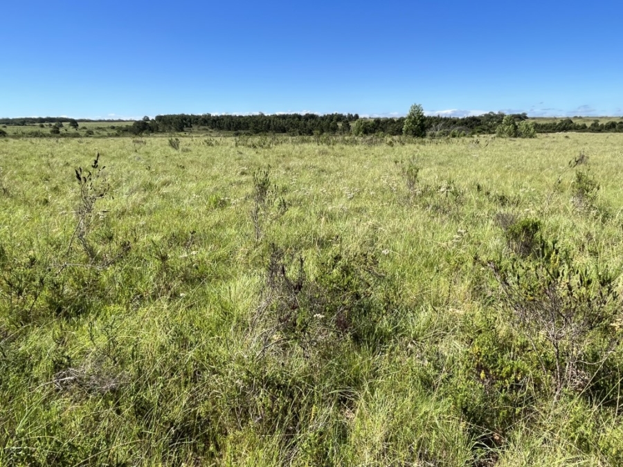 Commercial Property for Sale in Bathurst Rural Eastern Cape